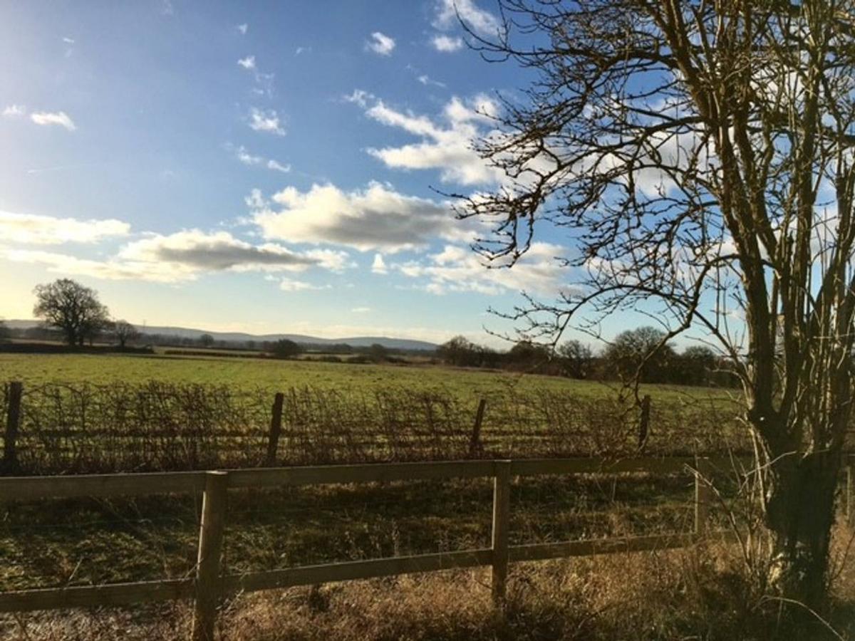 South Cottage - Rural Gem In The Heart Of The Sussex Countryside Twineham 외부 사진