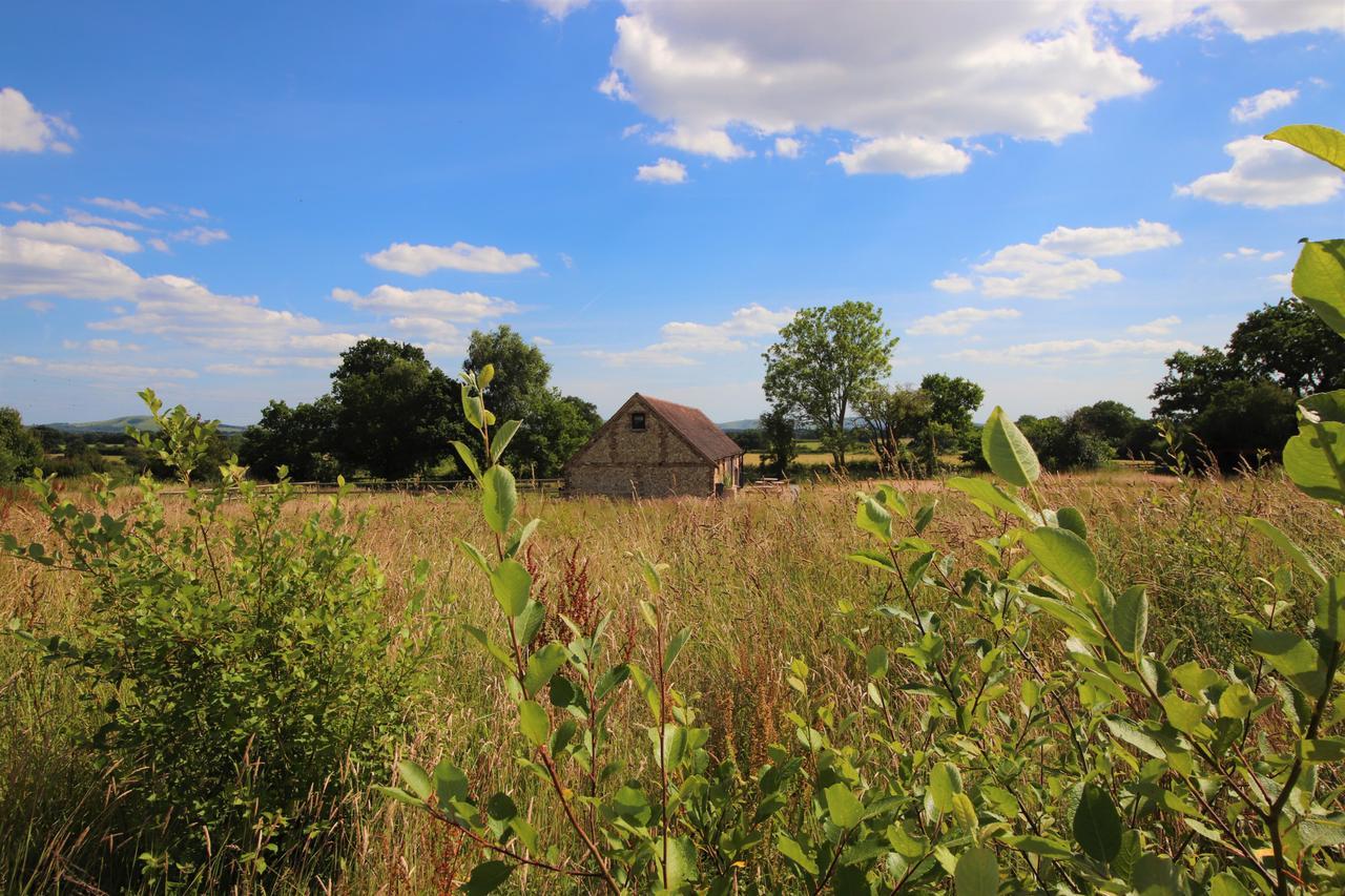 South Cottage - Rural Gem In The Heart Of The Sussex Countryside Twineham 외부 사진