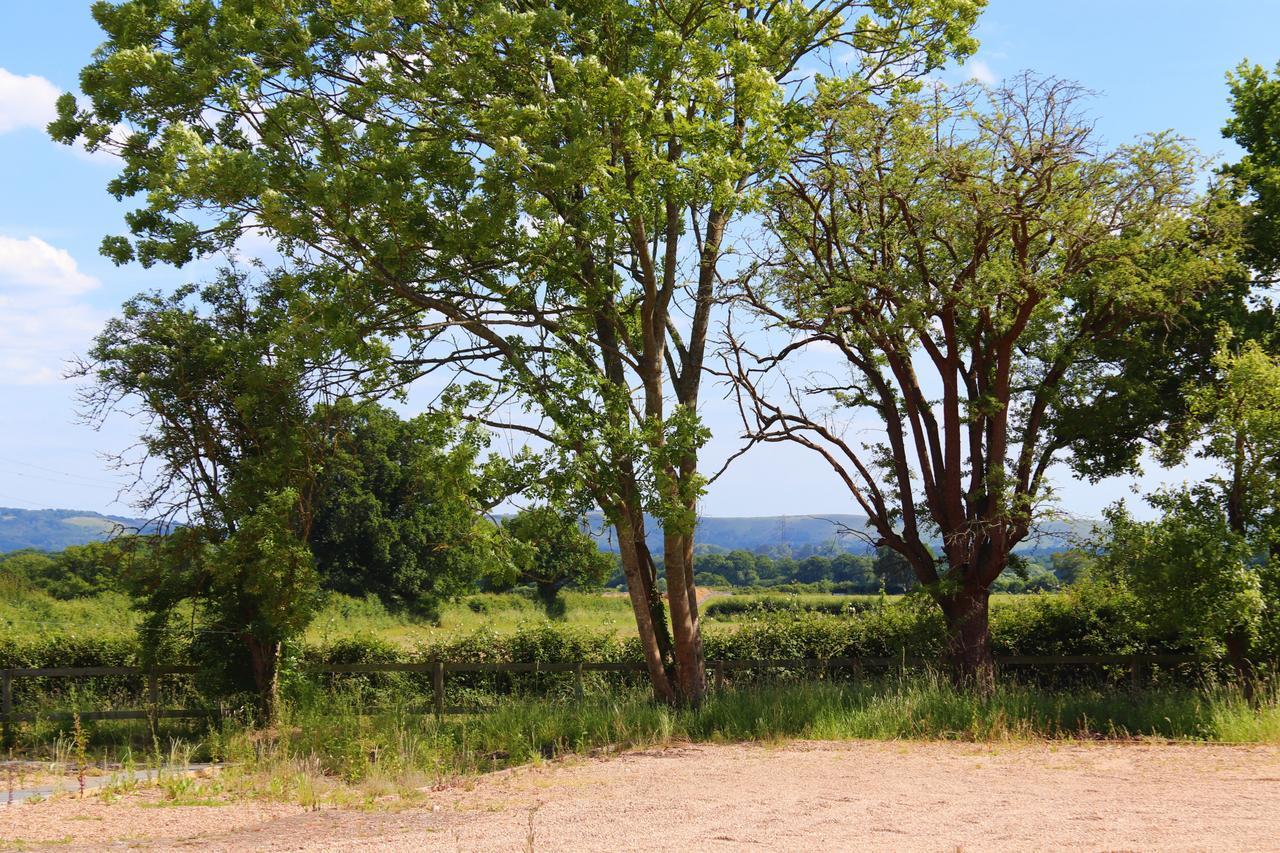 South Cottage - Rural Gem In The Heart Of The Sussex Countryside Twineham 외부 사진